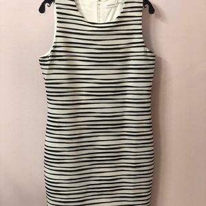 Calvin Klein Dress Size 12